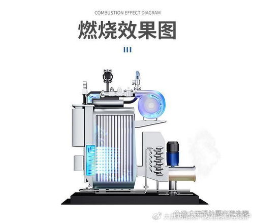 合規(guī)燃氣蒸汽發(fā)生器替代傳統(tǒng)鍋,不用報裝不用年檢不用環(huán)保環(huán)評